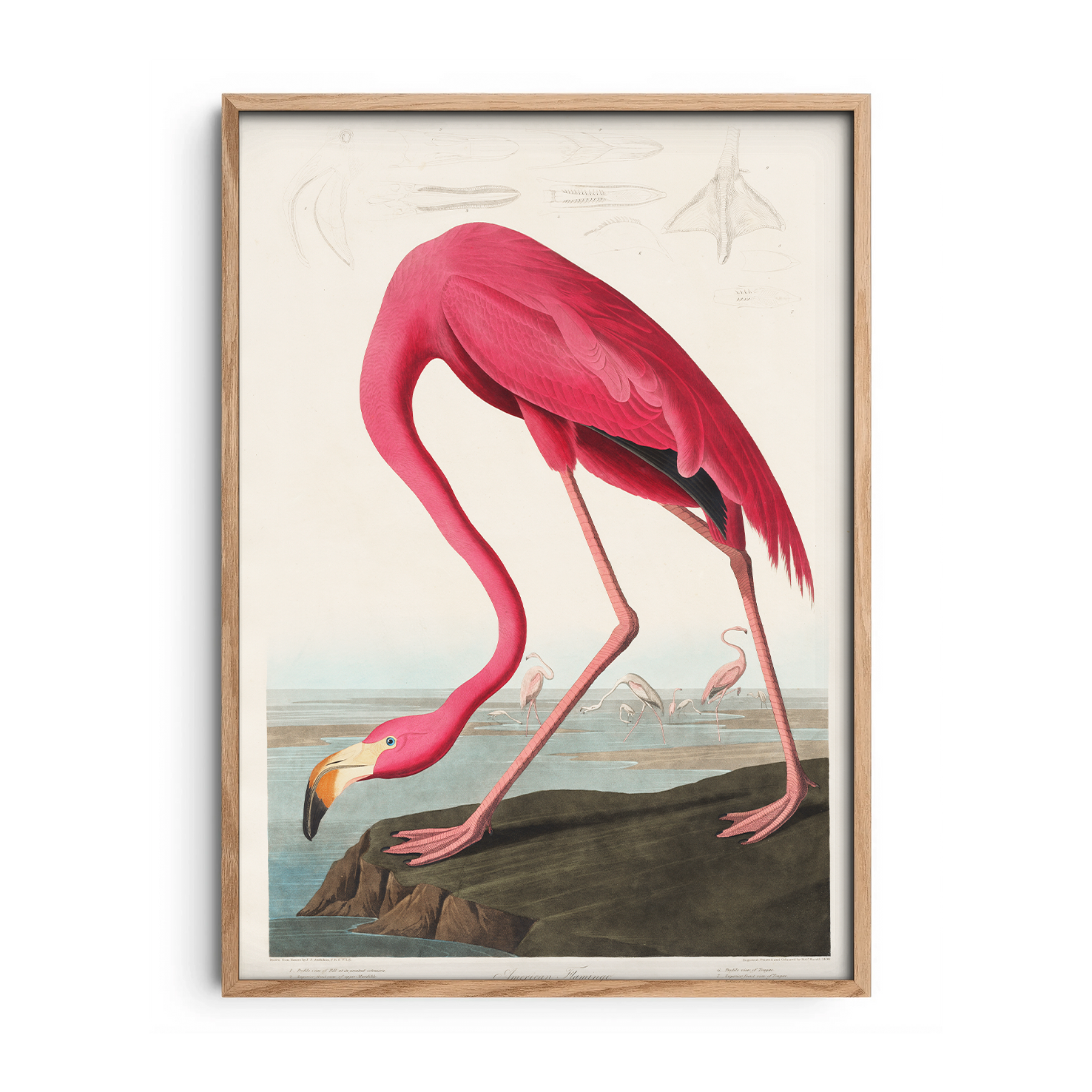 The Pink Majestic — Premium Framed Wall Art by Art Edges