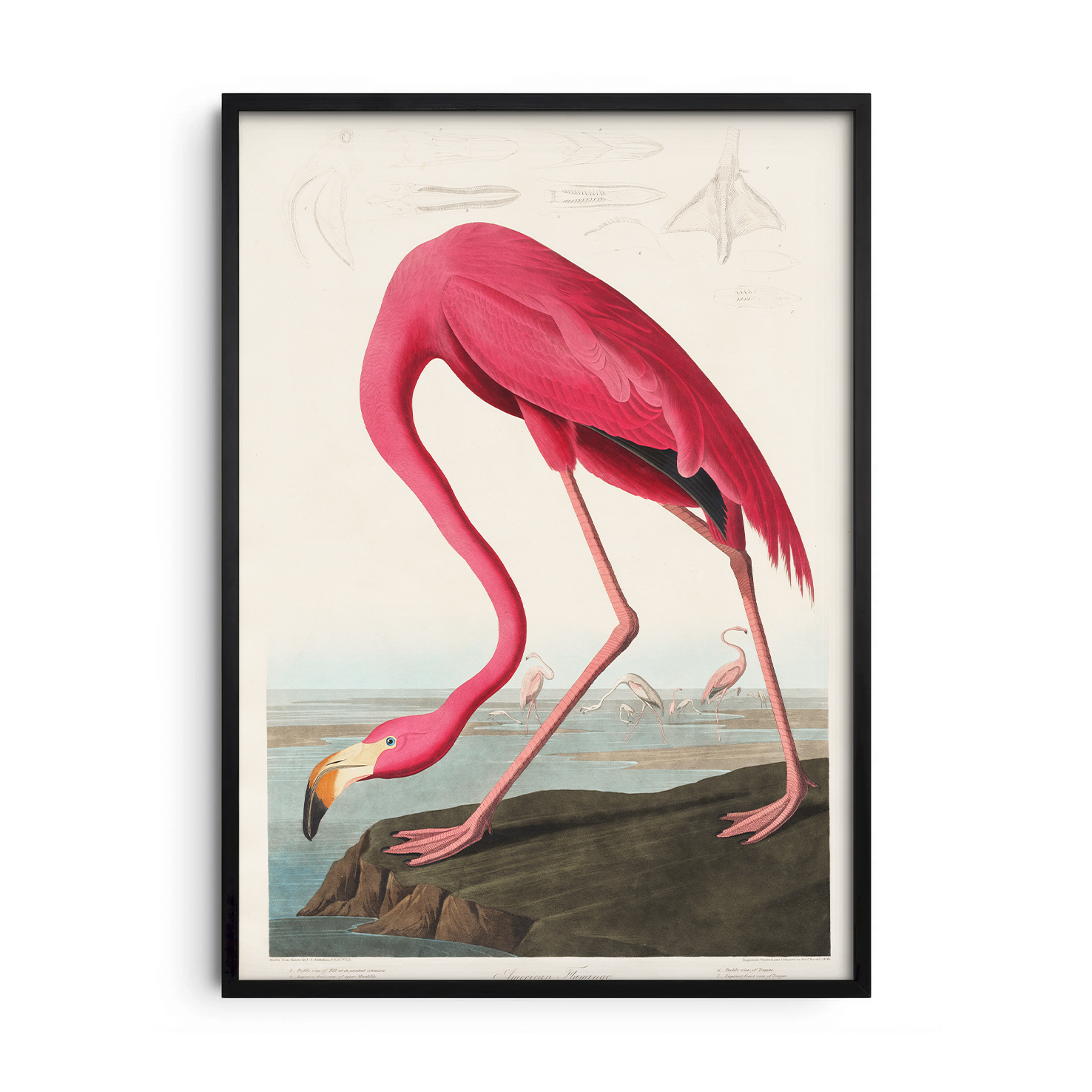 The Pink Majestic — Premium Framed Wall Art by Art Edges