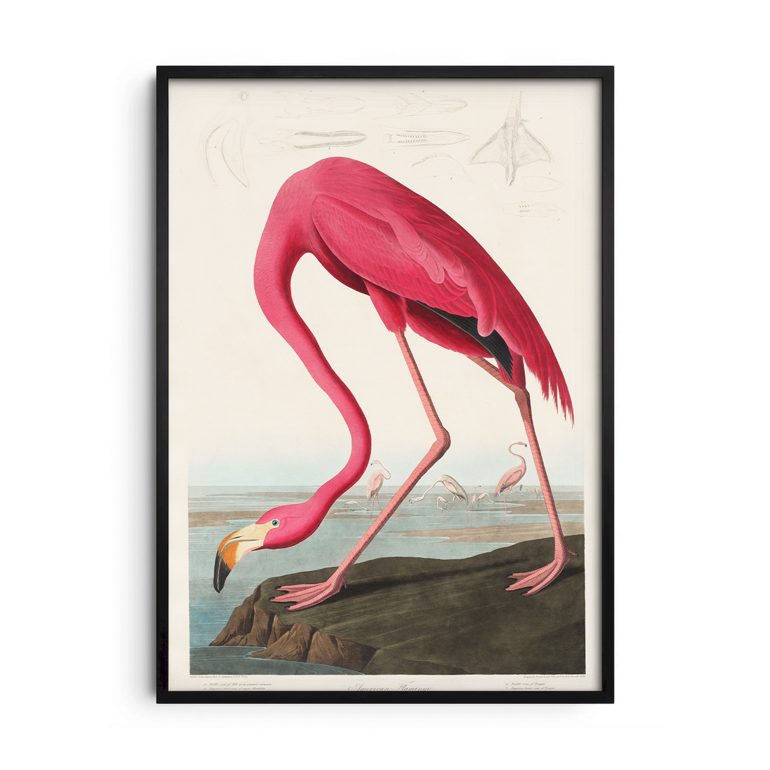 The Pink Majestic — Premium Framed Wall Art by Art Edges