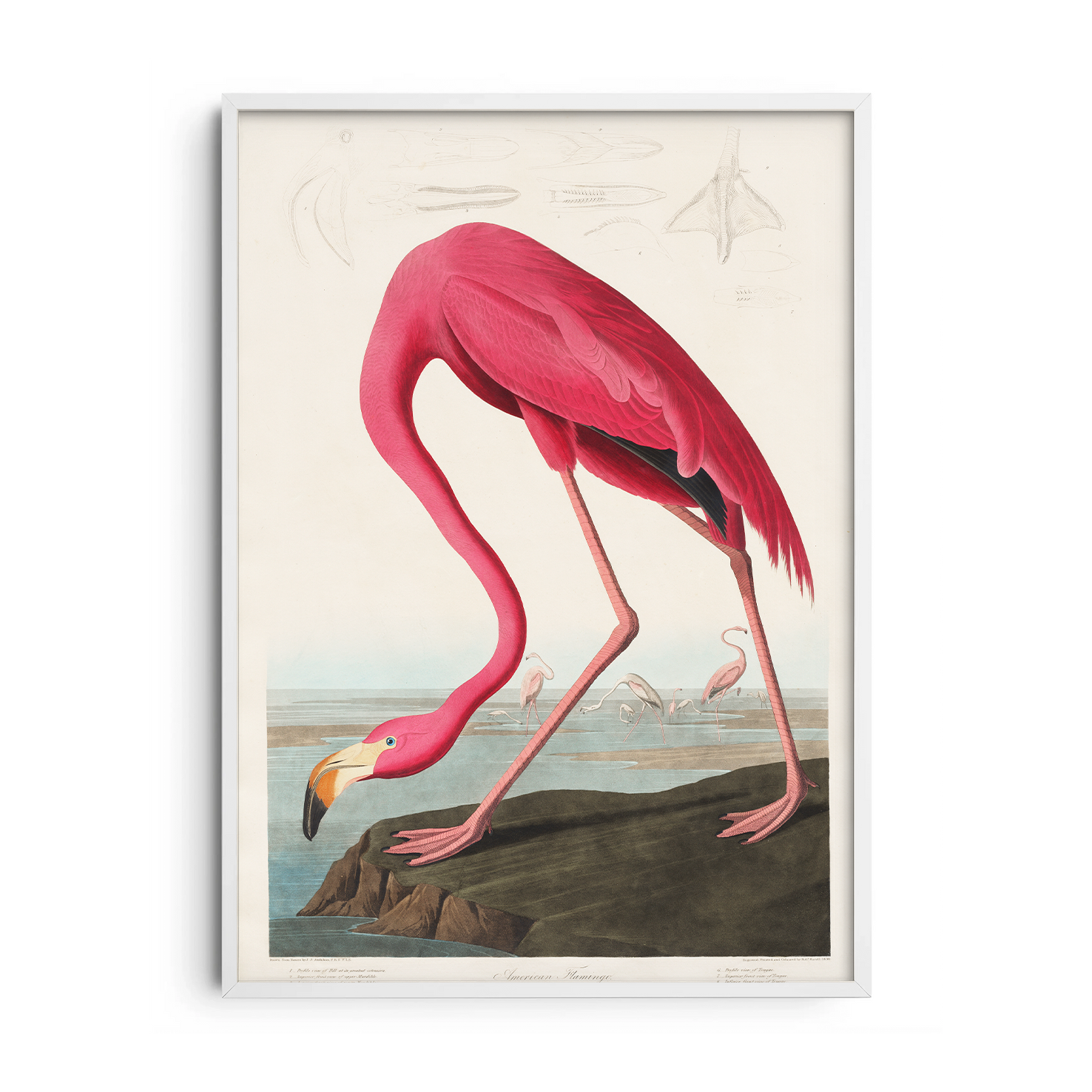 The Pink Majestic — Premium Framed Wall Art by Art Edges